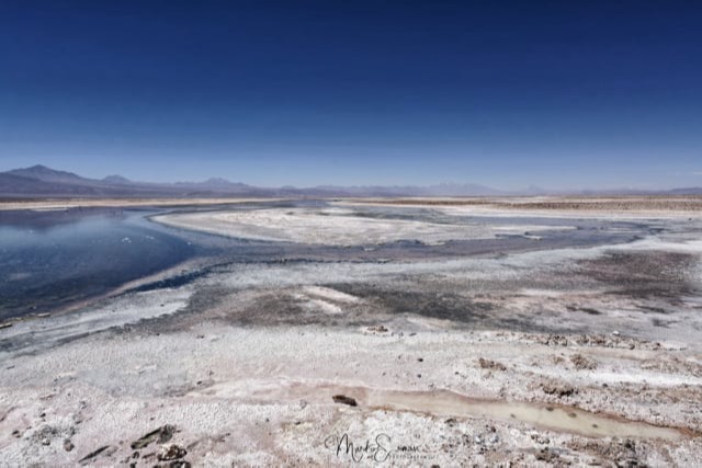 Laguna Chaxa - Tours en San Pedro de Atacama