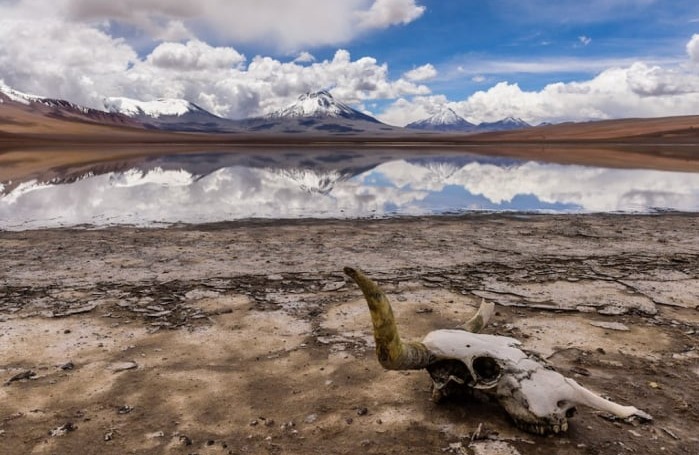 Laguna Lejía - Tours en San Pedro de Atacama