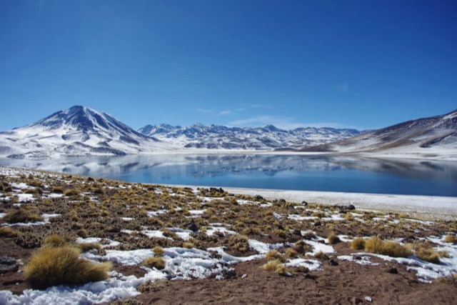 Lagunas Miscanti y Miñiques - Tours en San Pedro de Atacama