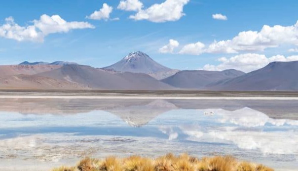 Salar de Aguas Calientes - Tours en San Pedro de Atacama